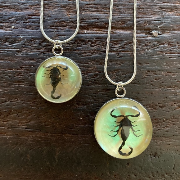 Real Scorpion Iridescent Festival Necklace Resin Taxidermy Pendant Scorpio - Picture 2 of 6